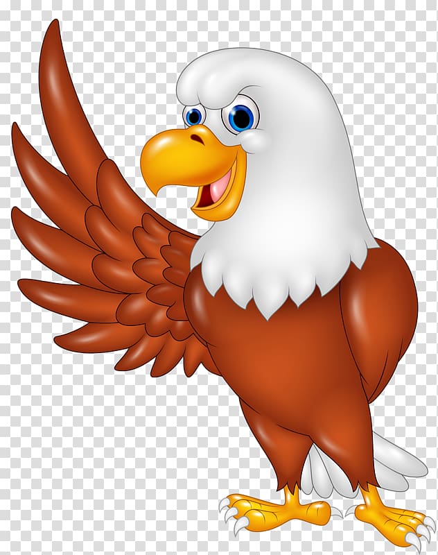 Eagle, philippine eagle transparent background PNG clipart.