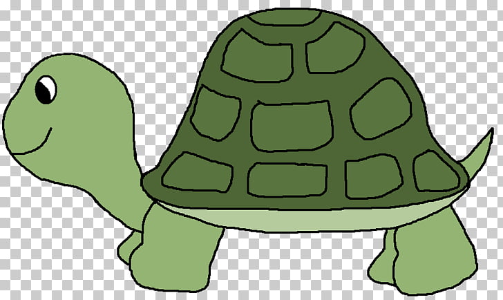 Sea turtle , Green Turtle s PNG clipart.