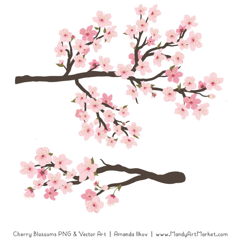 Free Cherry Blossom Clipart Vectors by Mandy.