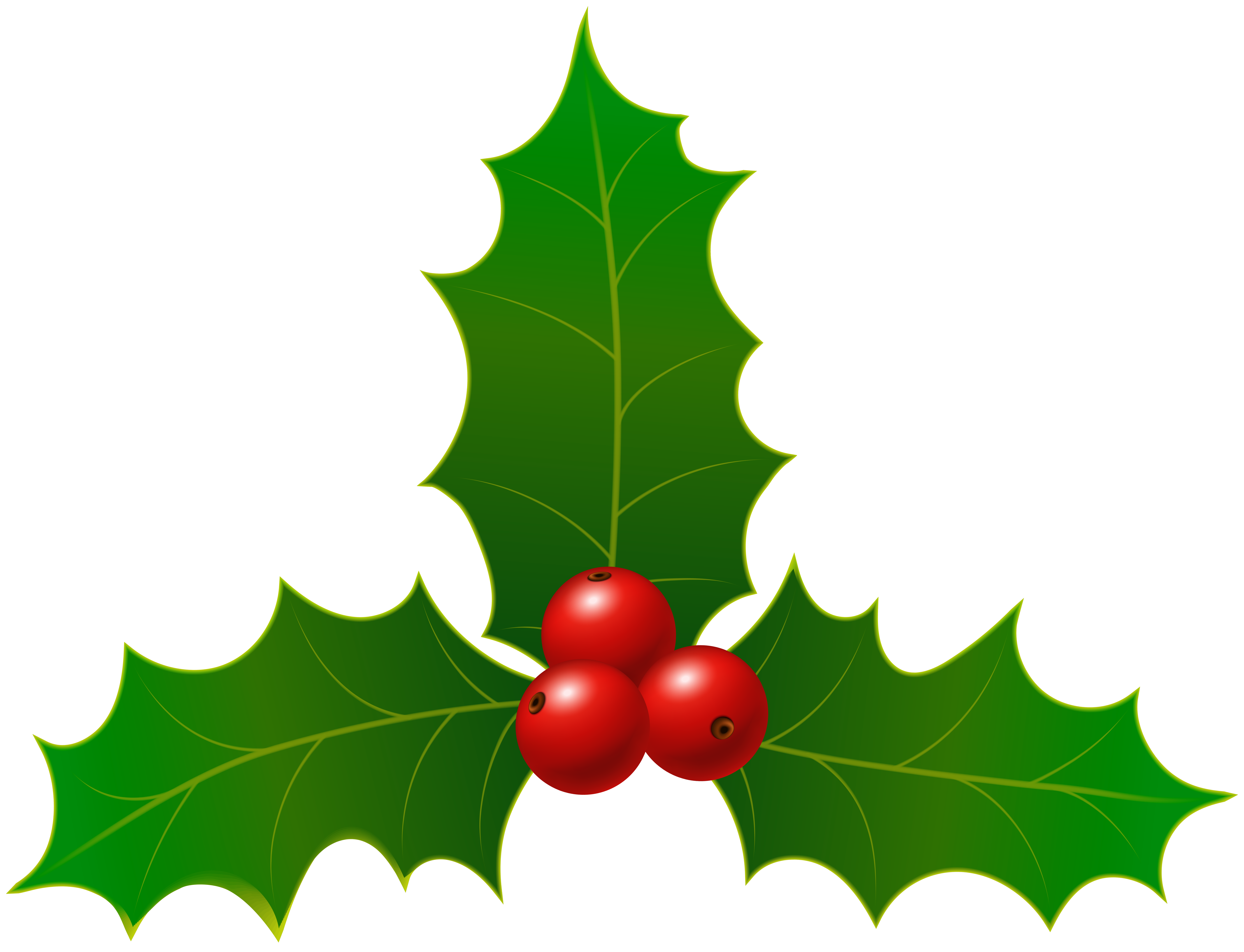 Christmas Holly Clip Art Image.
