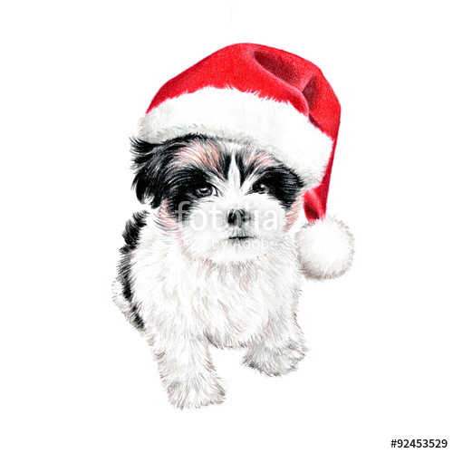 hand drawn puppy dog with santa claus hat, cute fun Christmas card.