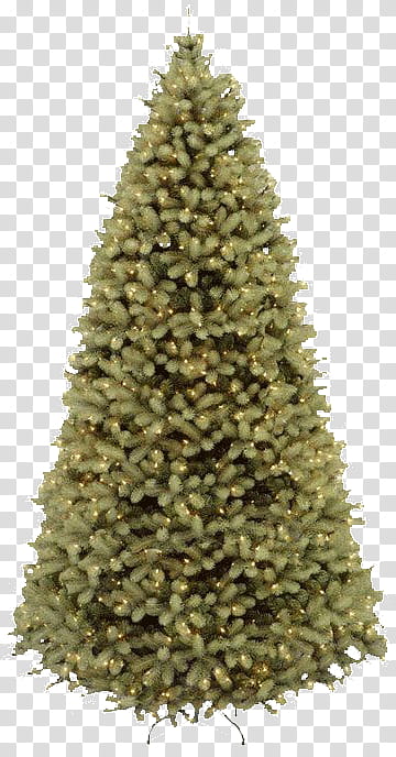 Free Christmas Trees shop Brushes plus Cutout, green.