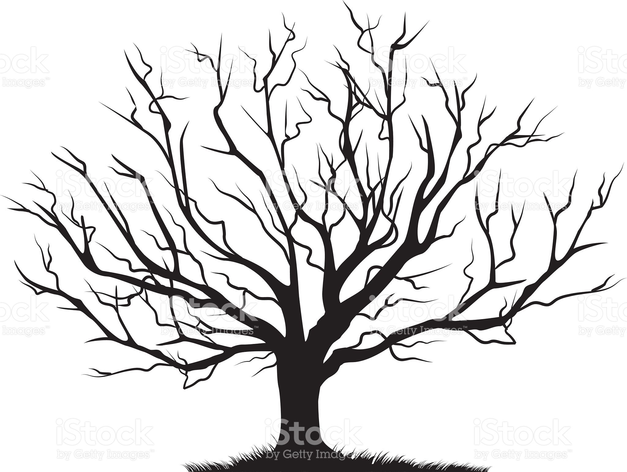 Deciduous Bare Tree with Empty Branches Black Silhouette isolated on.