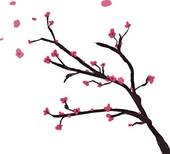 Cherry Blossom.