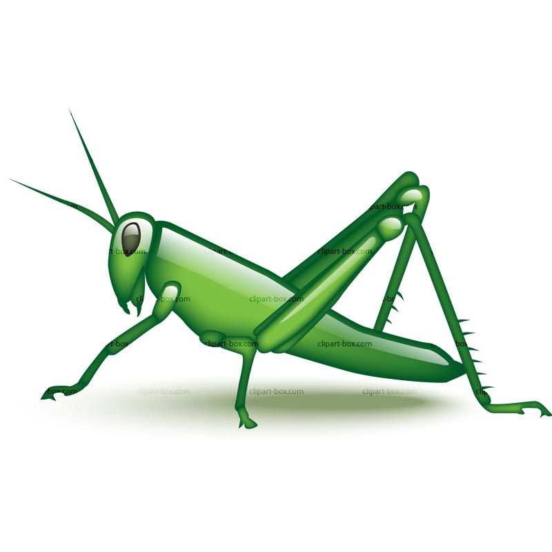 Grasshopper Clip Art.