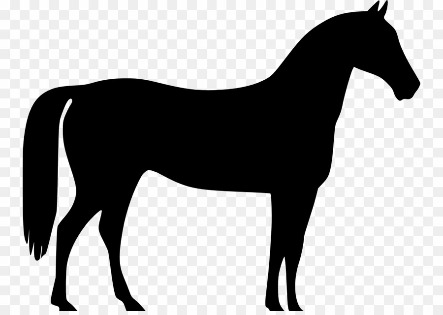 Clip Art Horse Silhouette PNG Arabian Horse Stallion Clipart.