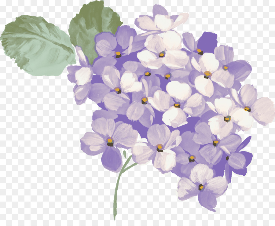 free clip art hydrangea flowers 10 free Cliparts | Download images on