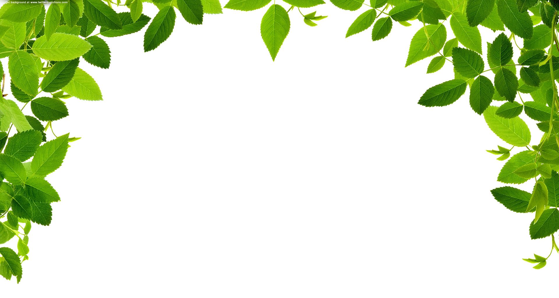 Leaves Real Free Images At Clker Com Vector Clip Art Online.