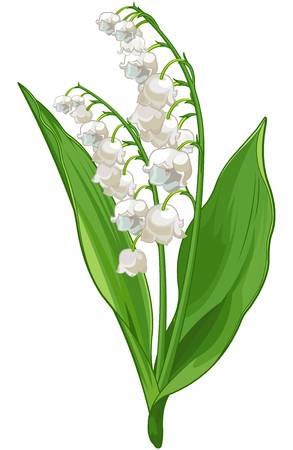 2,032 Lily Of The Valley Cliparts, Stock Vector And Royalty Free.