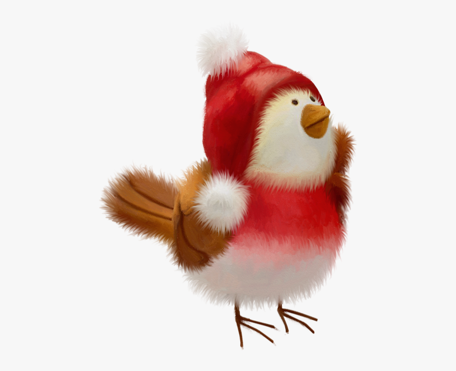 Christmas Bird, Christmas Animals, Christmas Clipart,.