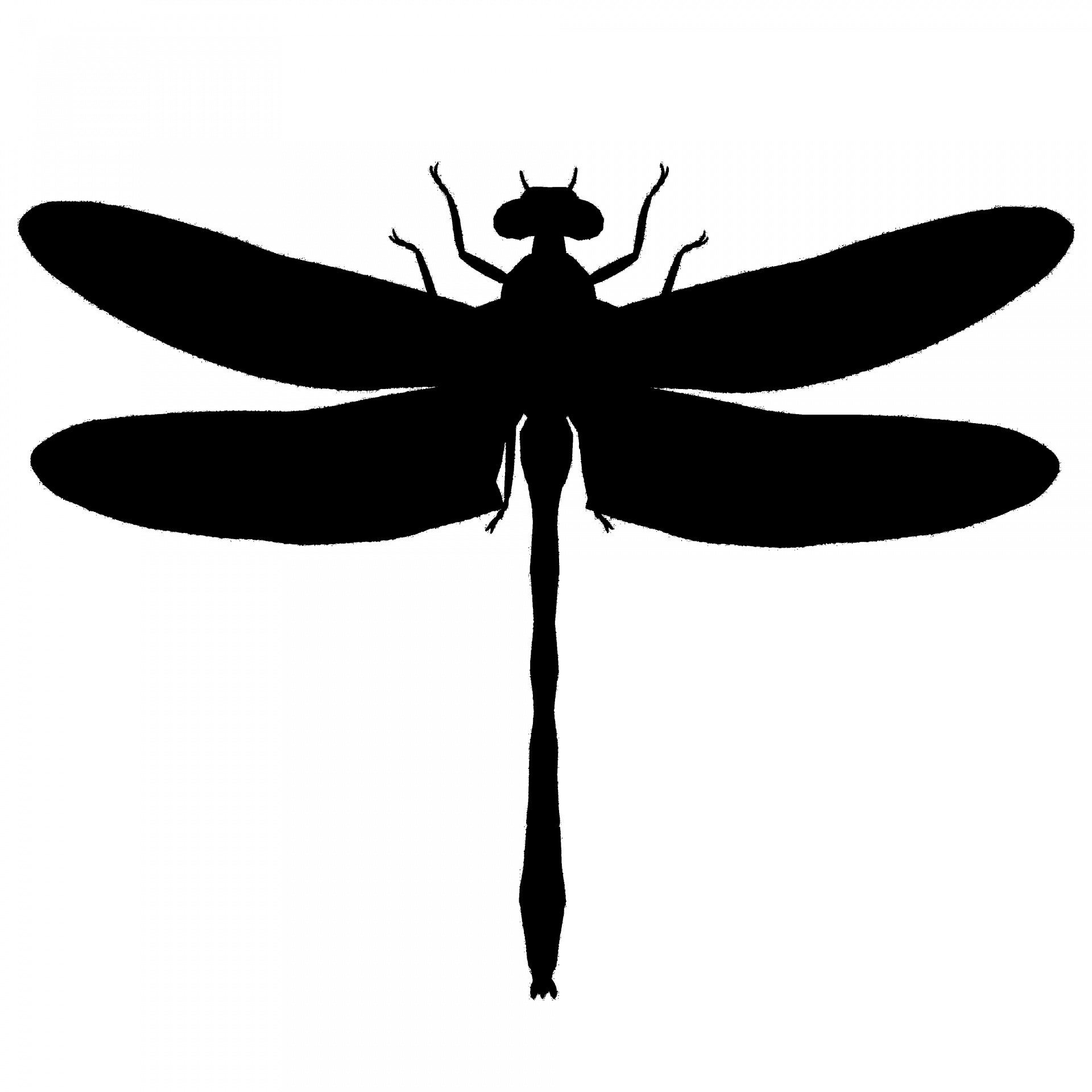 free clipart dragonfly silhouette 10 free Cliparts | Download images on