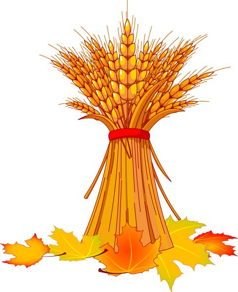 Top autumn leaves clip art free clipart image.