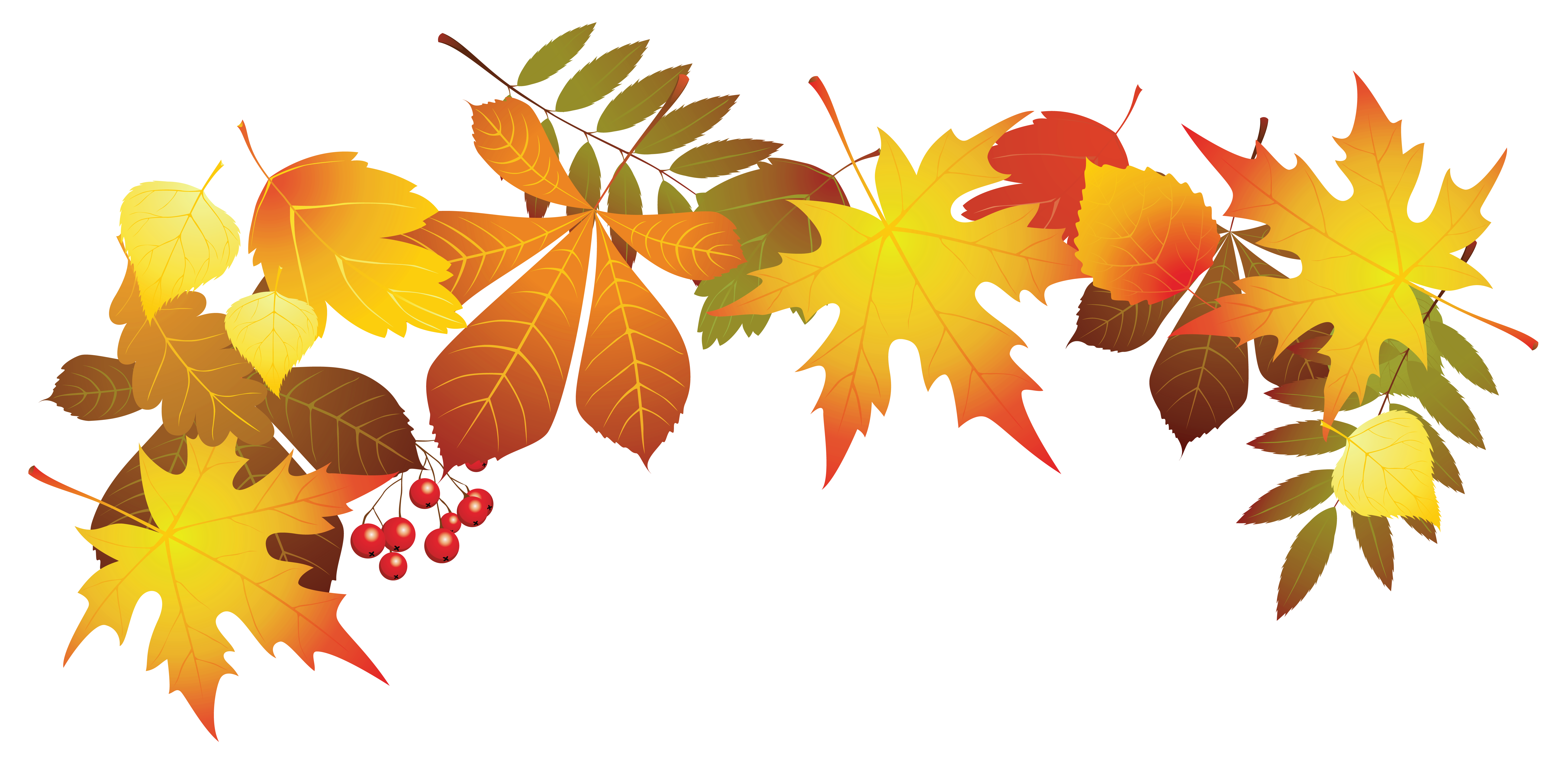 free clipart of autumn leaves 10 free Cliparts Download images on