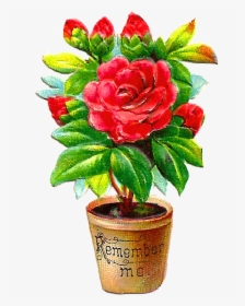 Flower Pot PNG Images, Free Transparent Flower Pot Download.