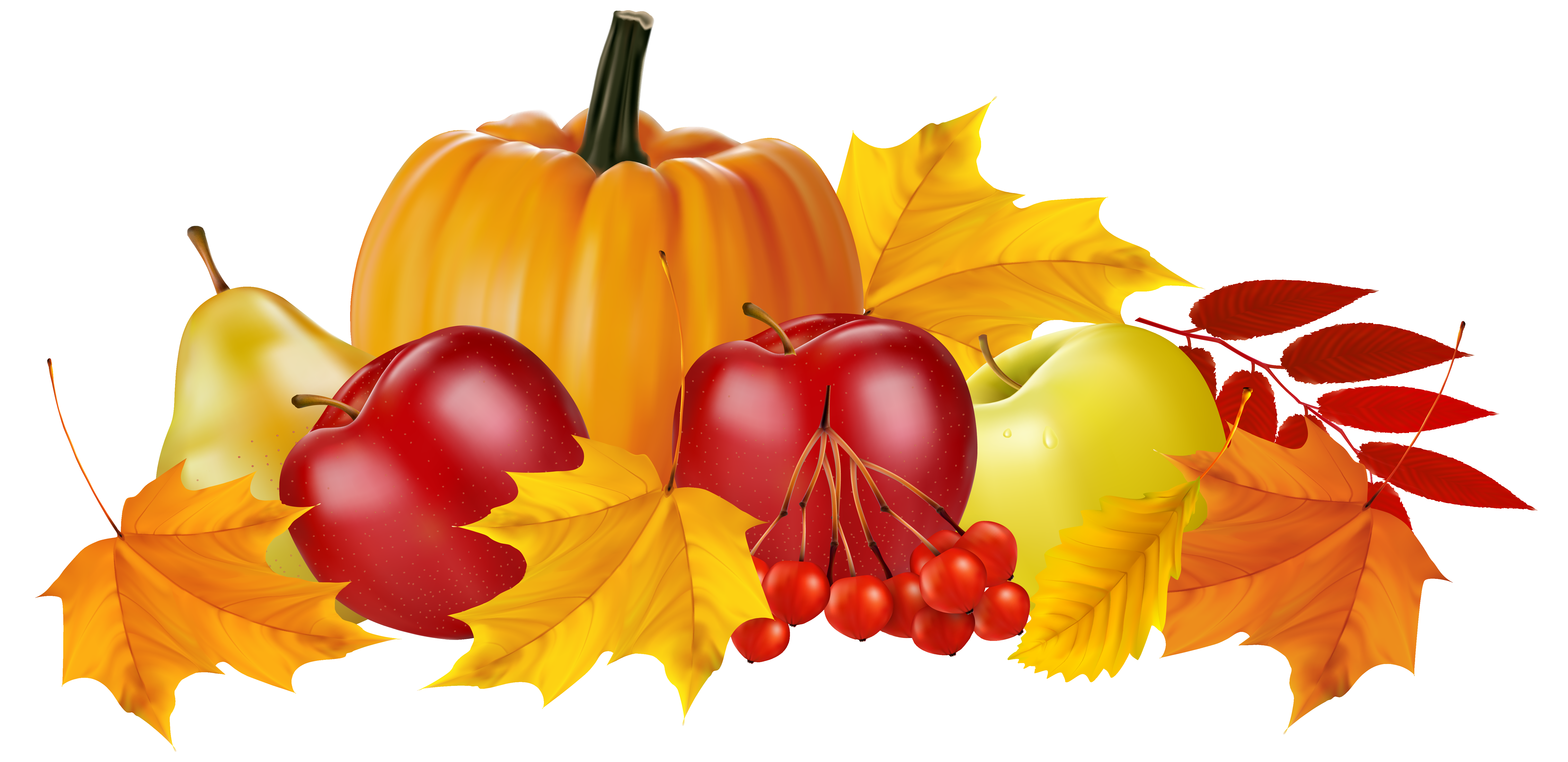 Autumn Pumpkin and Fruits PNG Clipart Image.
