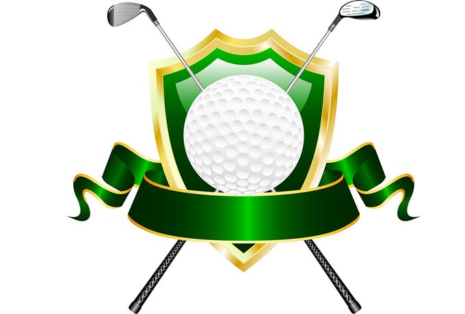 Image result for golf ball with wings.