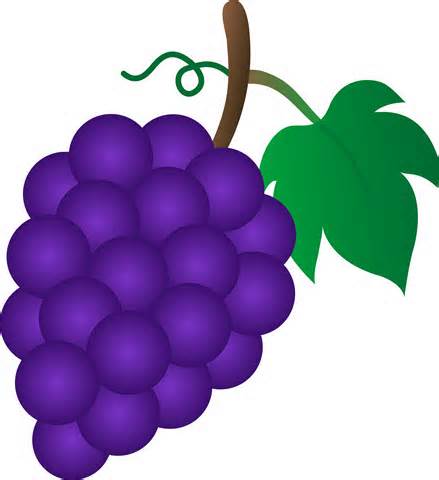 Bunch Of Grapes Clipart.