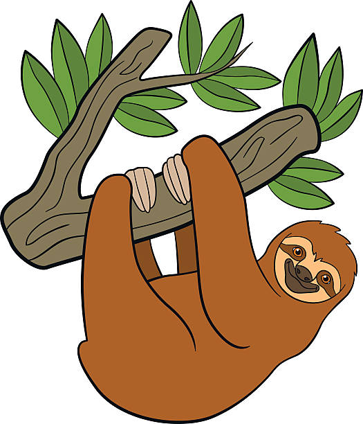 525 Sloth free clipart.