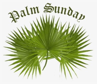 Free Palm Sunday Clip Art with No Background.