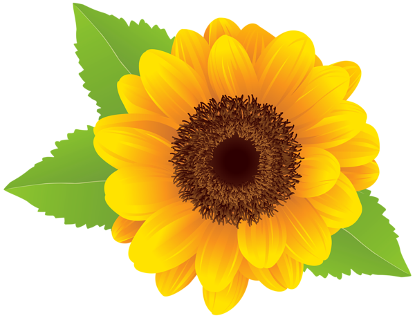 Sunflower free sunflower clip art free printable clipart 3 2.