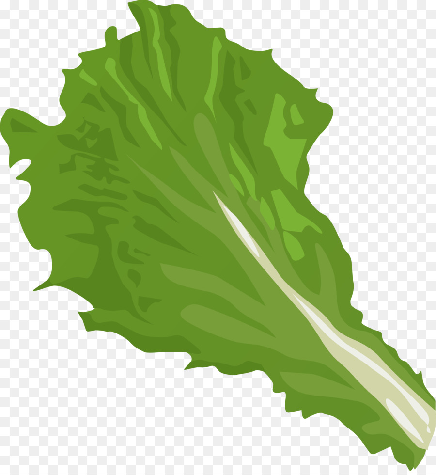free clipart lettuce 10 free Cliparts | Download images on Clipground 2021