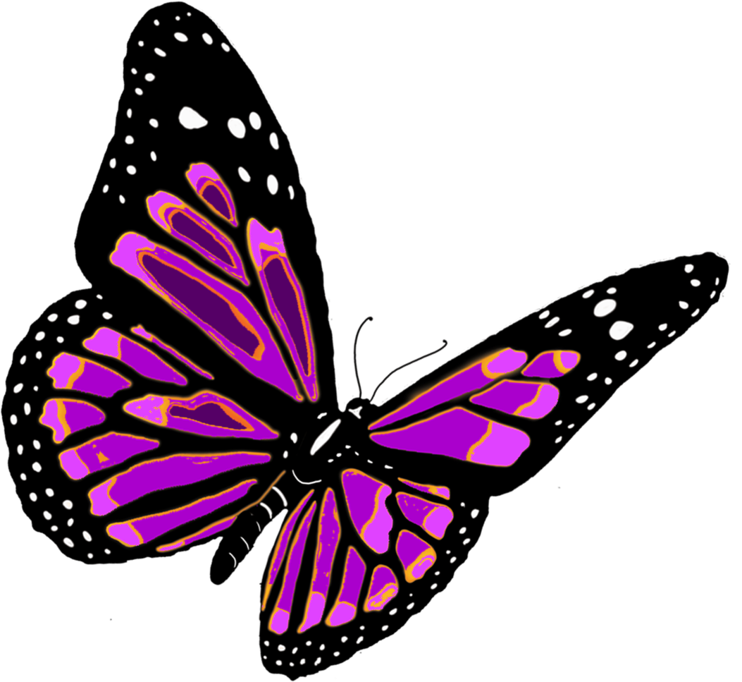 Butterflies Free Clipart Pictures #26539.
