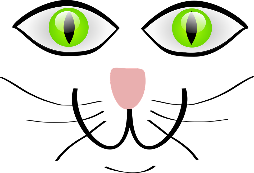 Free vector graphic: Cat, Green Eyes, Happy, Animal, Pet.