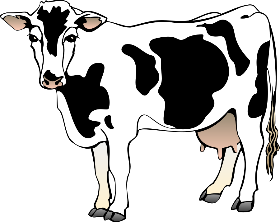 Cow Clipart.