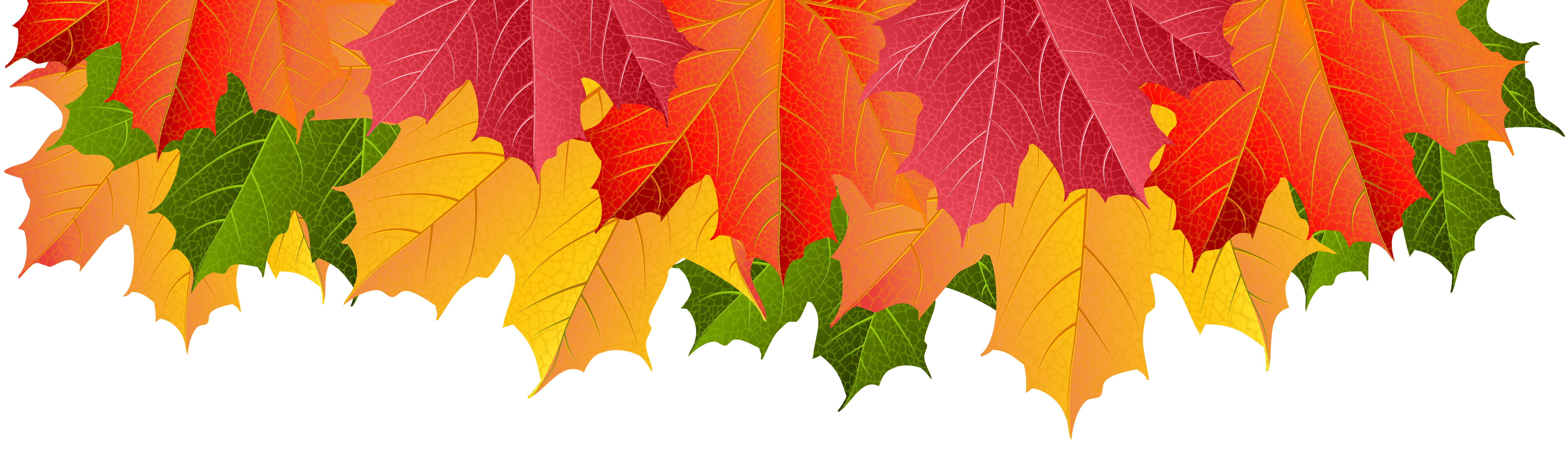 Fall Leaves Border Transparent Clip Art Image.