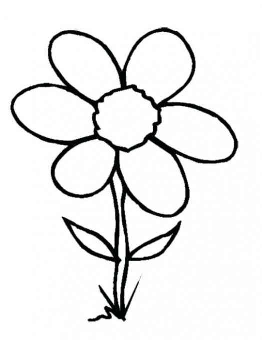 Flower Clip Art Black And White Group (+), HD Clipart.