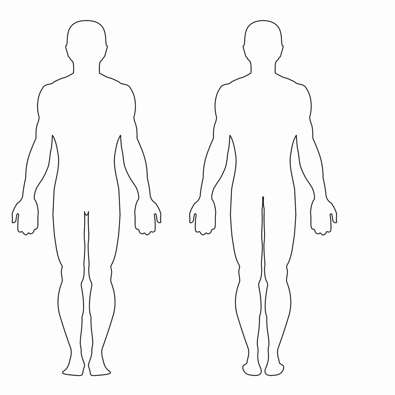 free-clipart-of-human-body-outline-10-free-cliparts-download-images