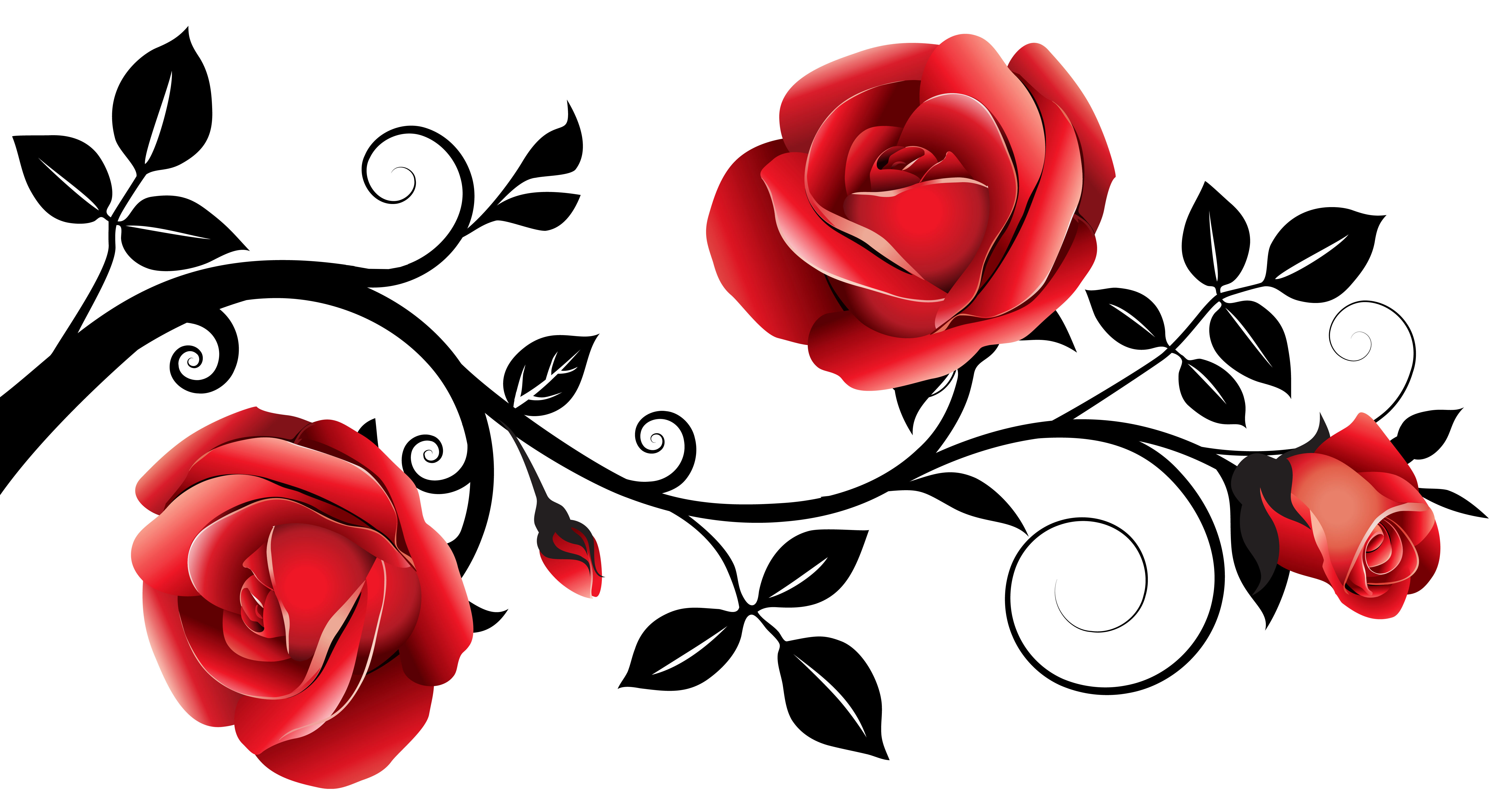 rose vines clipart 10 free Cliparts Download images on Clipground 2024