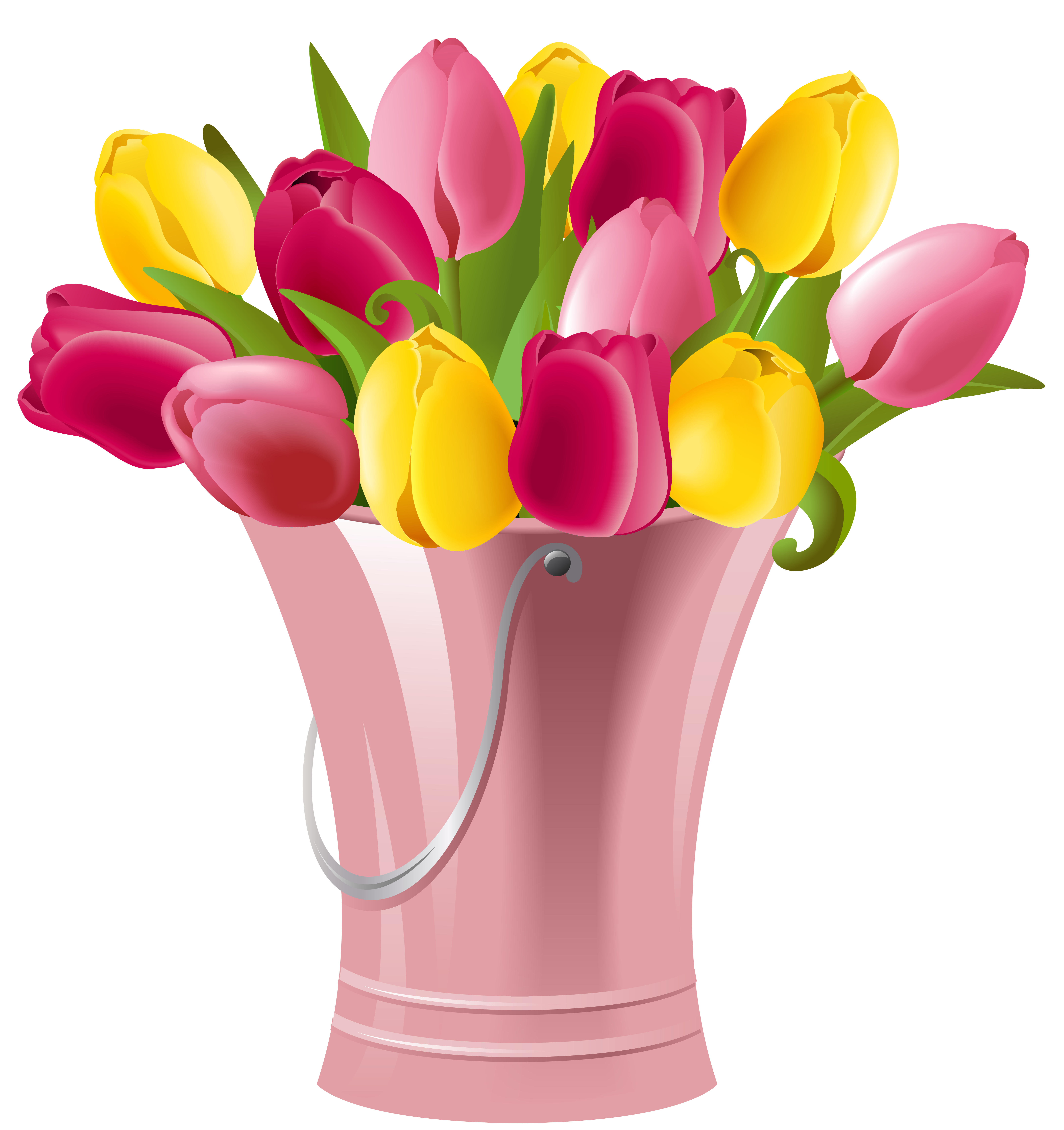 Spring Bucket with Tulips Transparent PNG Clip Art Image.