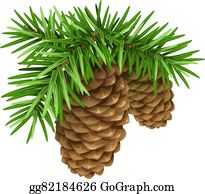 Pine Cone Clip Art.