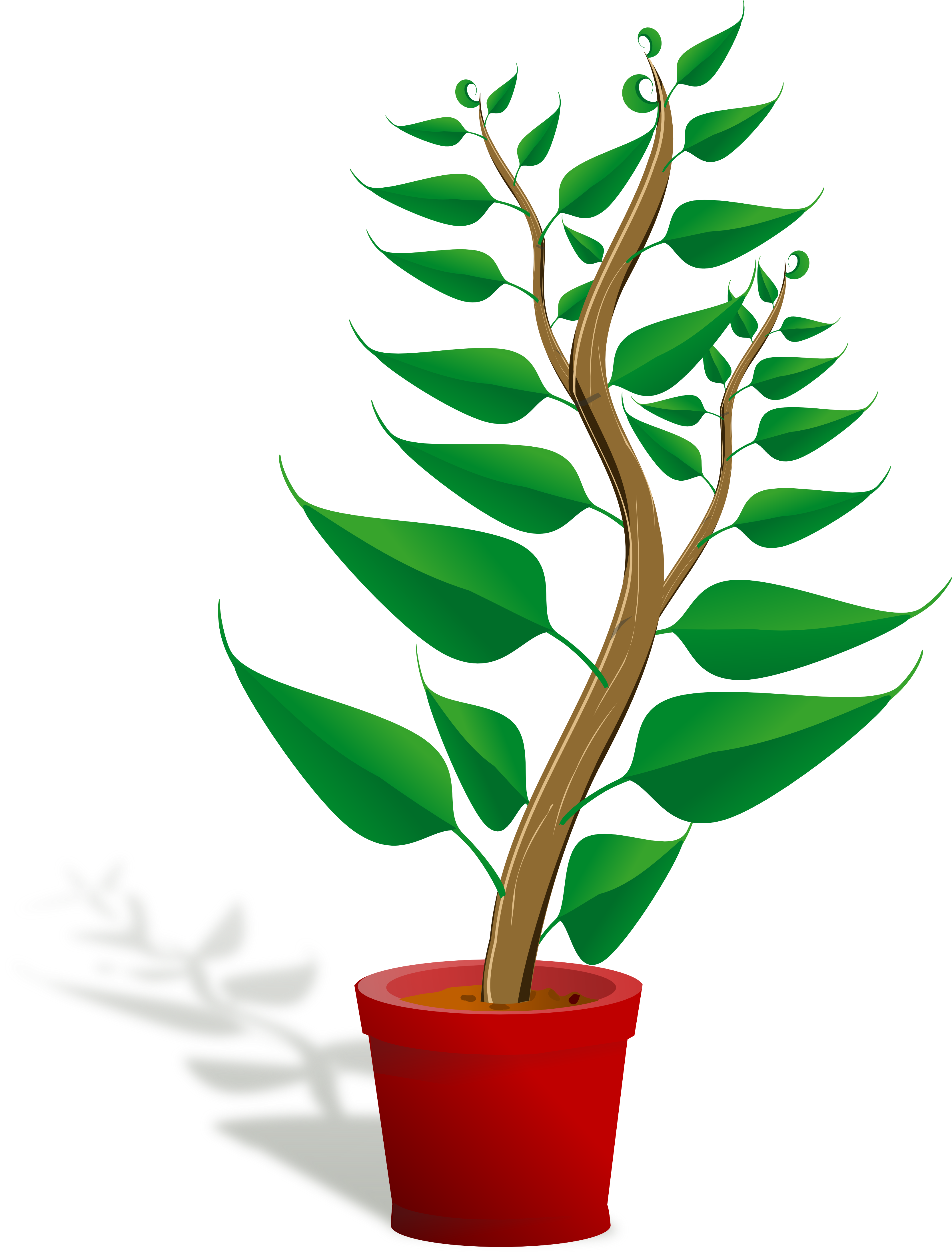 Plants clip art free clipart images.