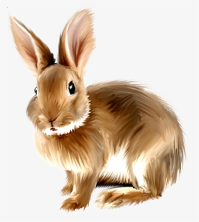 Free Easter Rabbit Clip Art with No Background.