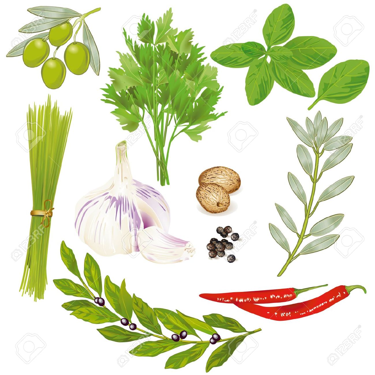 Free Clipart Spices Herbs.