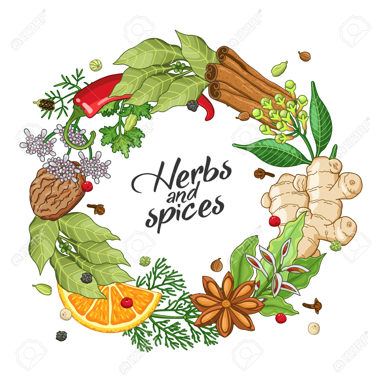 Spices Vector Free Download "set Of Spice. Vector." Stock Image And