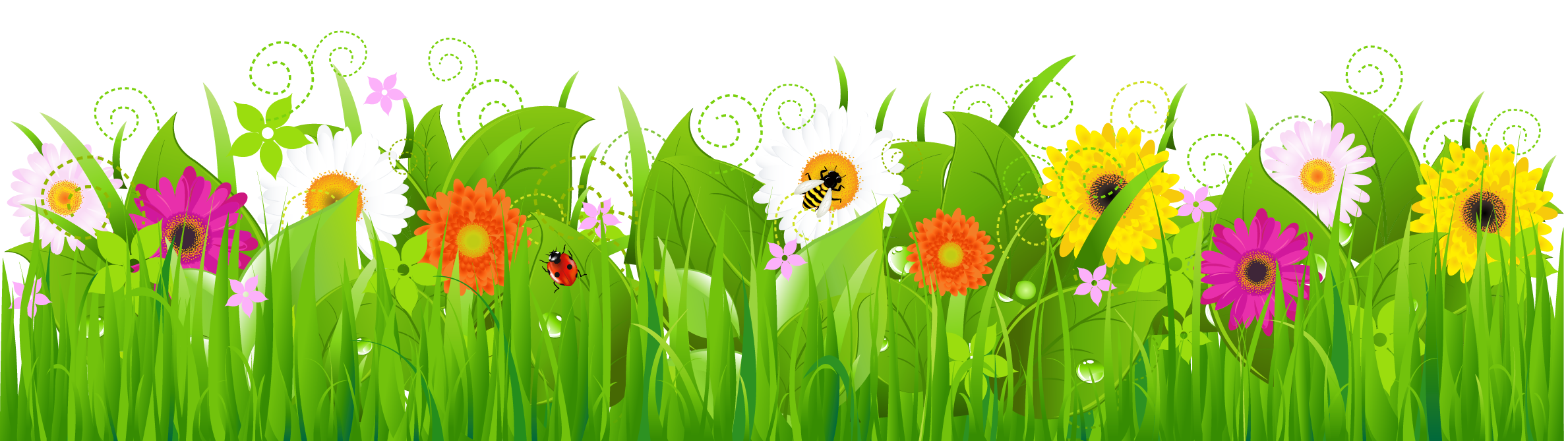 Free Flowers Cliparts, Download Free Clip Art, Free Clip Art.