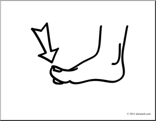Toes clipart 2 » Clipart Station.