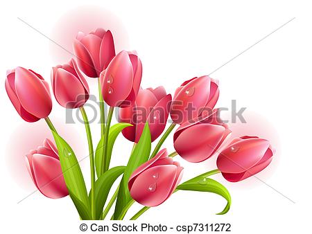 Tulip Stock Illustrations. 19,043 Tulip clip art images and.
