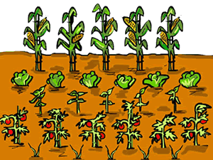 Free Planting Garden Cliparts, Download Free Clip Art, Free.