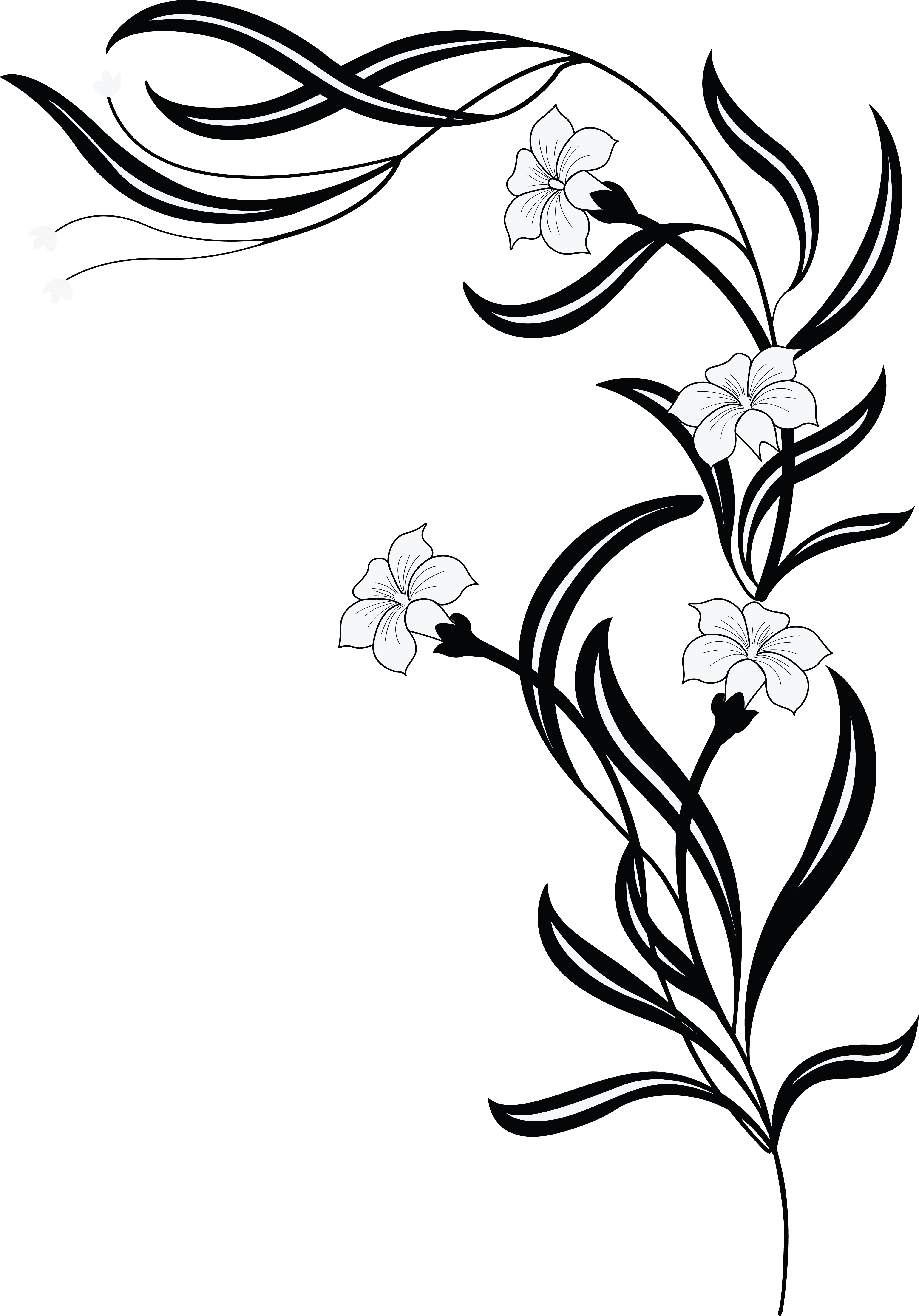 Free Clipart Of A grayscale floral vine.