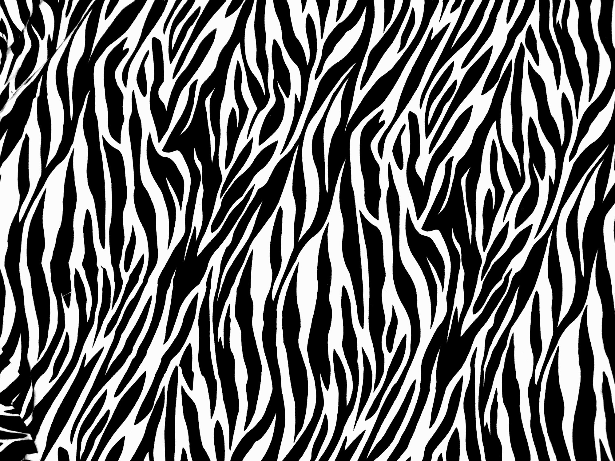 Free Zebra Print Png, Download Free Clip Art, Free Clip Art.