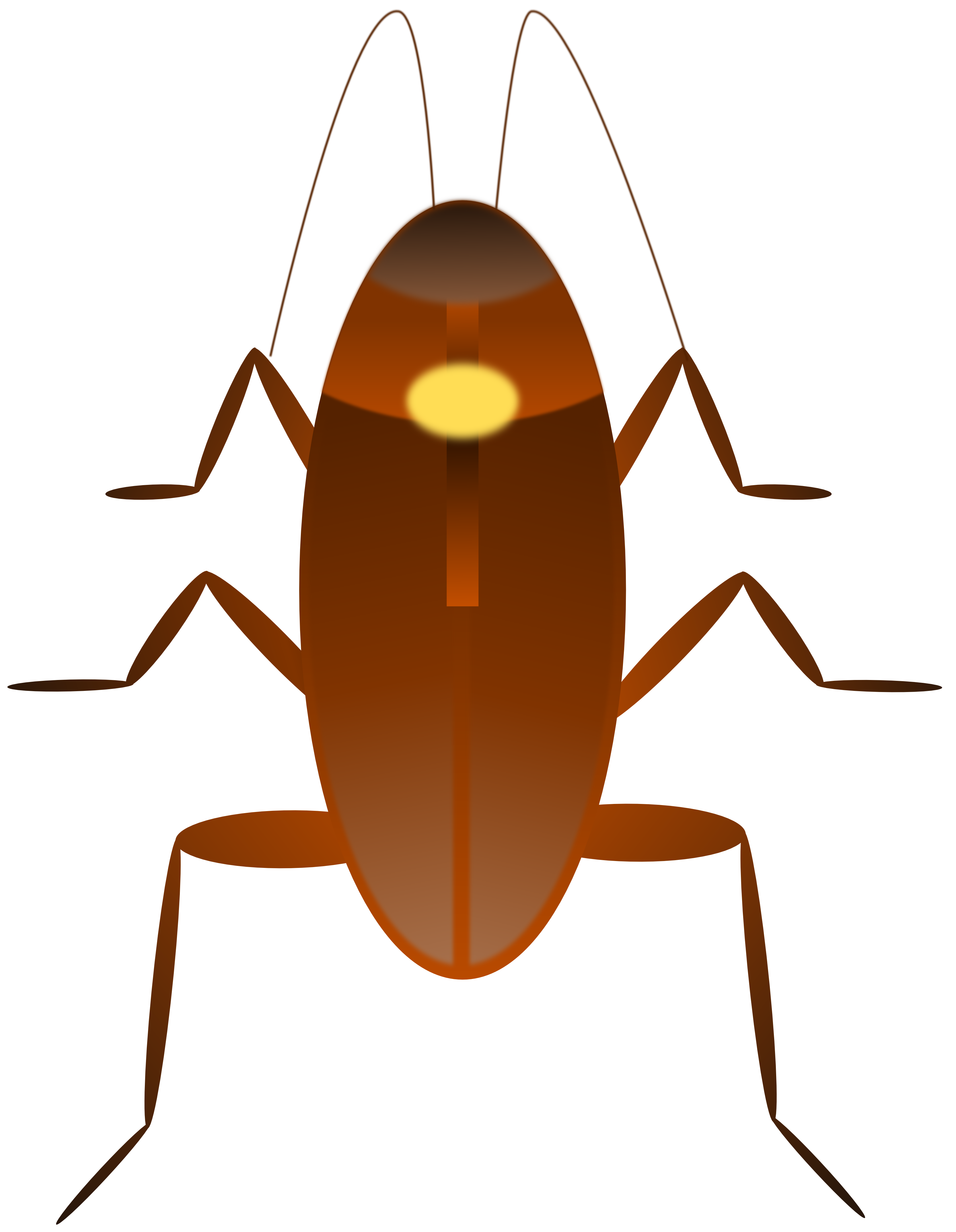 Free Cockroach Pictures Images, Download Free Clip Art, Free.