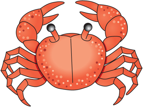 Free Crab Cliparts, Download Free Clip Art, Free Clip Art on.