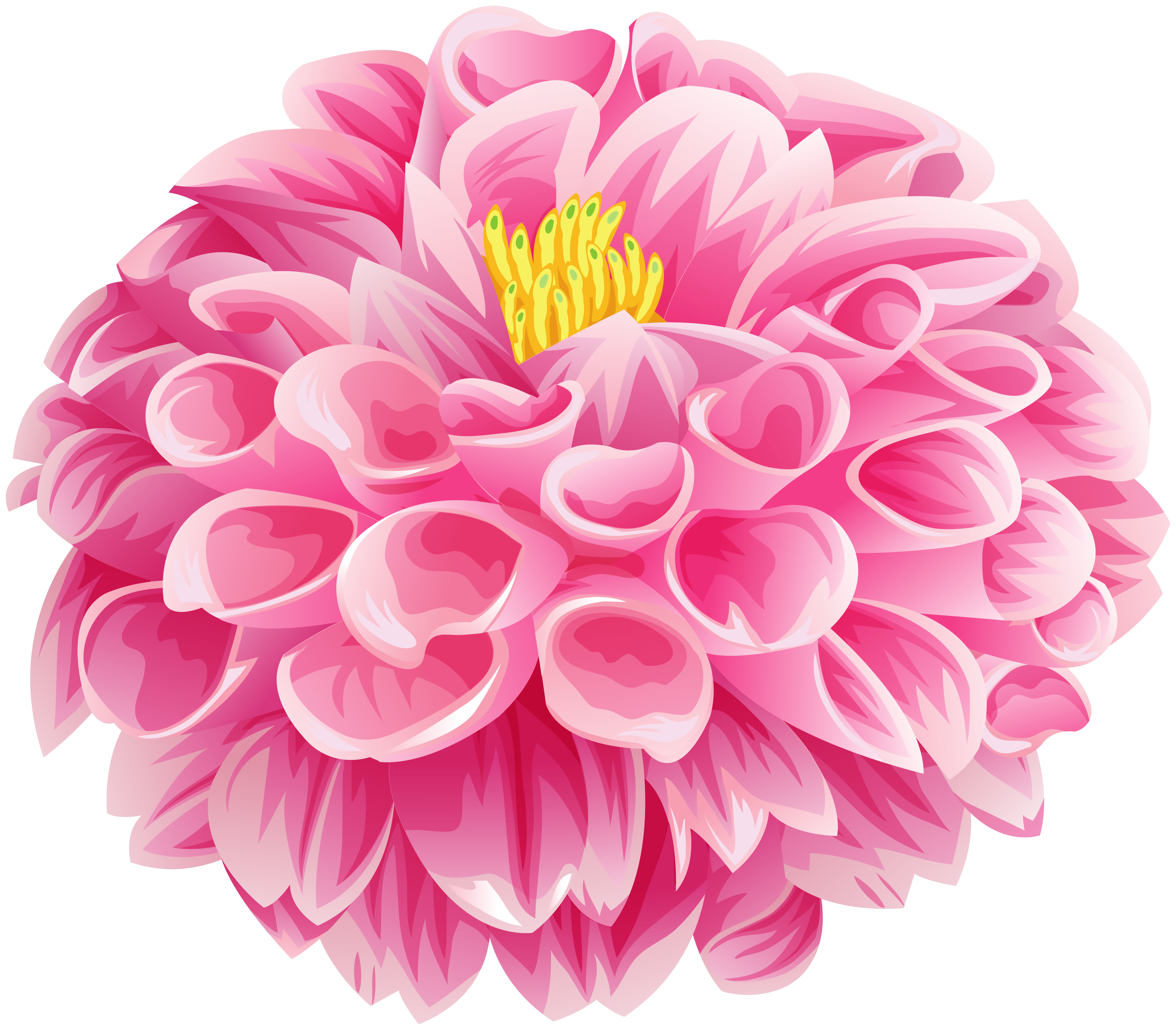 free dahlia clipart 10 free Cliparts | Download images on Clipground 2024