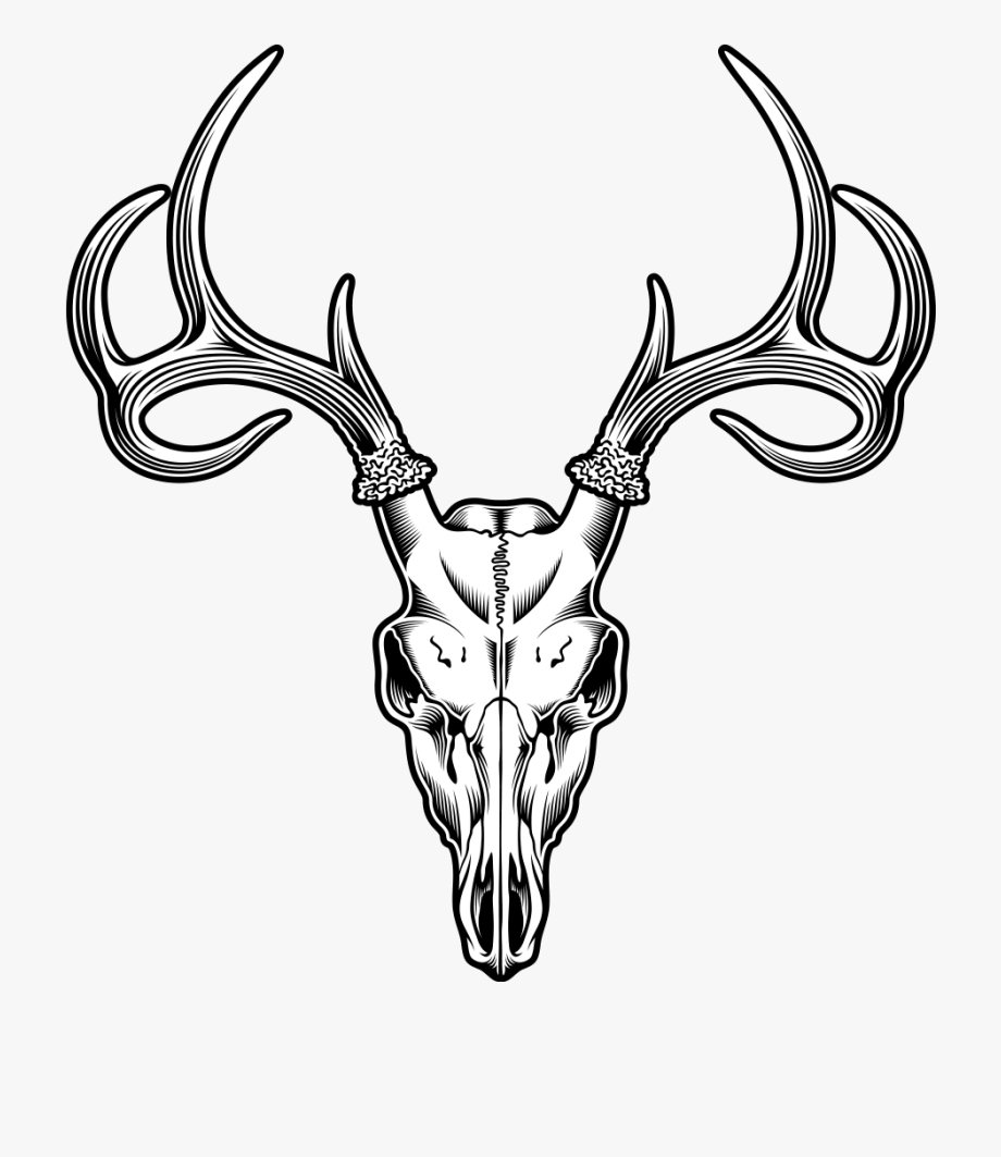 Elk Skull Clipart.