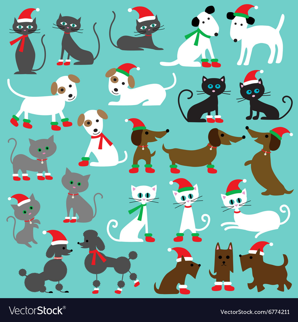 Christmas cats and dogs.