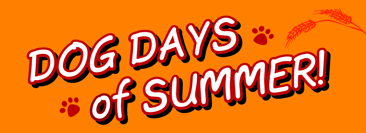 Dog Summer Cliparts Free Download Clip Art.